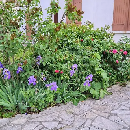 Georges De Didonne - Maison Avec Jardin Clos - Proche Commerces ヴィラ *