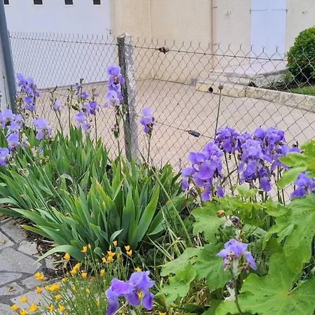 Georges De Didonne - Maison Avec Jardin Clos - Proche Commerces
