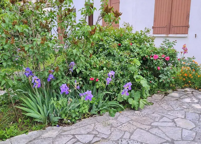 Georges De Didonne - Maison Avec Jardin Clos - Proche Commerces Villa *